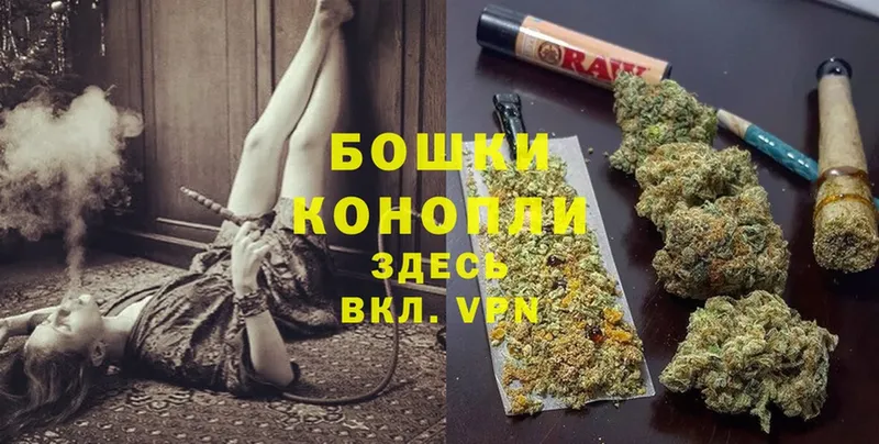 Шишки марихуана OG Kush  Зея 